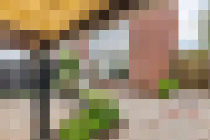 Hofplein 40 Beusichem thumbnail 9