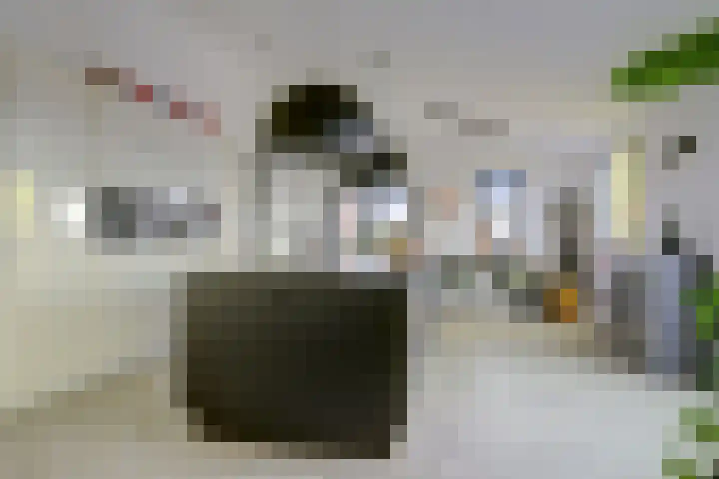 Hofplein 43 Alkmaar thumbnail 11