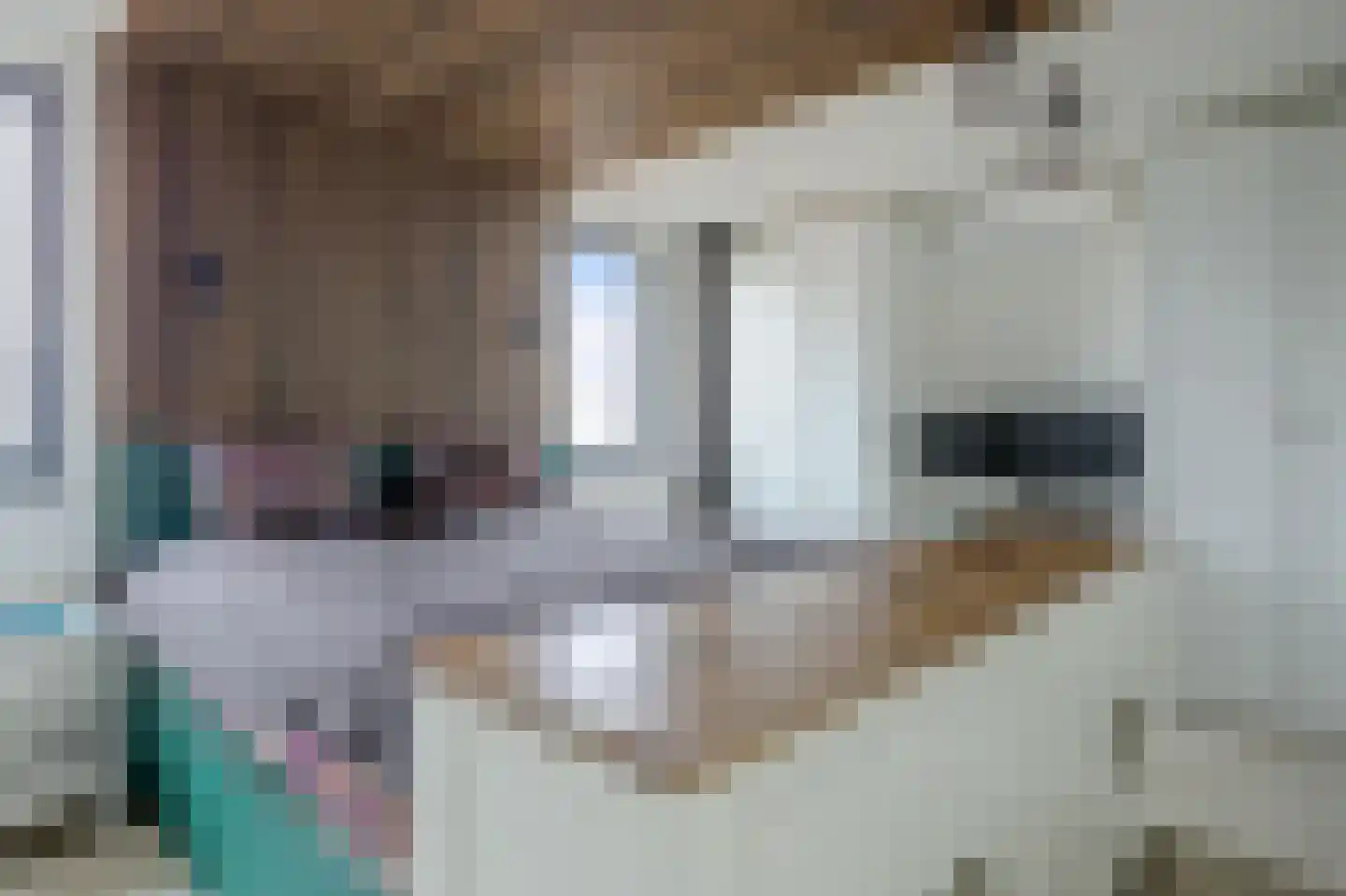 Hofplein 43 Alkmaar thumbnail 21
