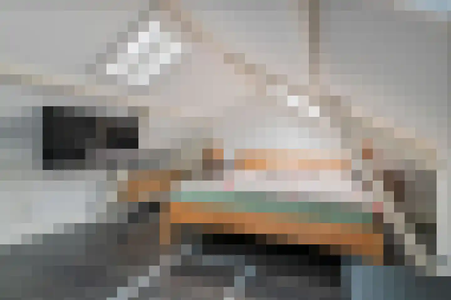 Hofplein 46 Beusichem thumbnail 28