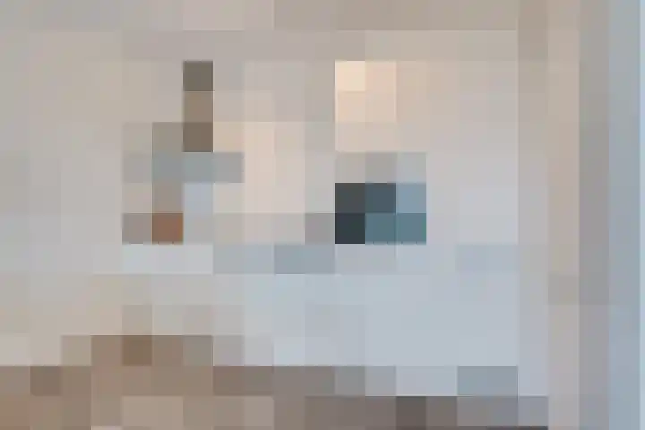 Hofplein 55 's-Hertogenbosch thumbnail 14