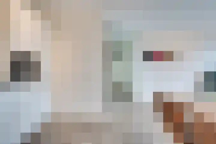 Hofplein 55 's-Hertogenbosch thumbnail 16