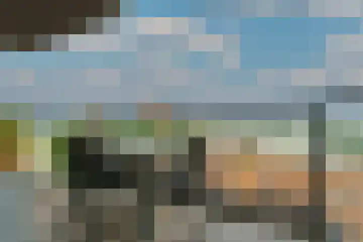 Hofplein 55 's-Hertogenbosch thumbnail 28