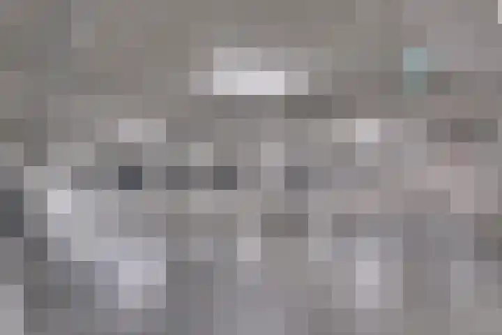 Hofplein 55 's-Hertogenbosch thumbnail 34