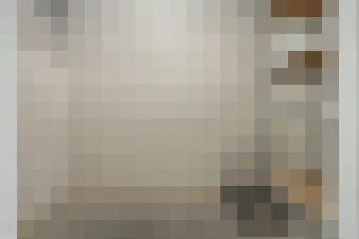 Hofplein 56 's-Hertogenbosch thumbnail 30