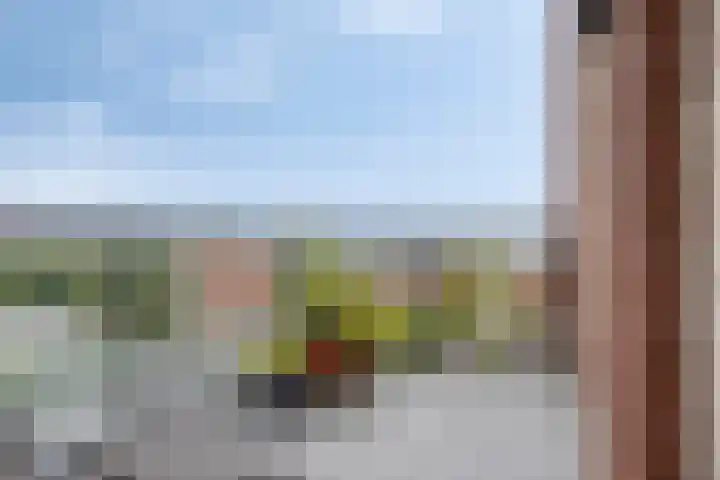 Hofplein 76 's-Hertogenbosch thumbnail 11