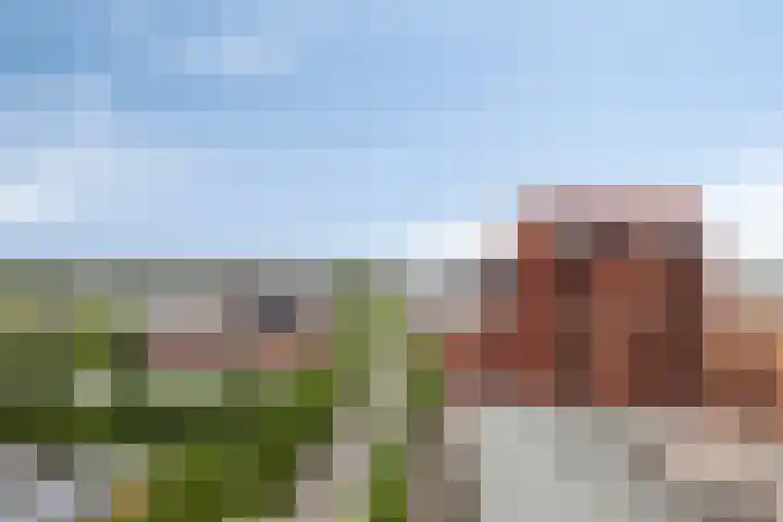 Hofplein 76 's-Hertogenbosch thumbnail 13