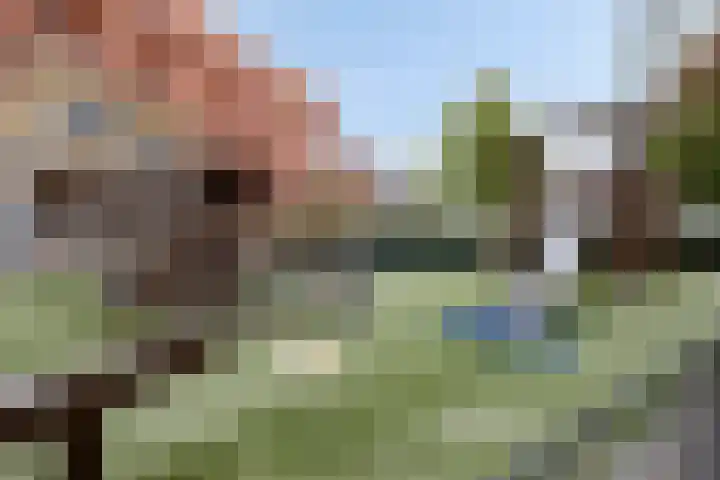 Hofplein 76 's-Hertogenbosch thumbnail 34