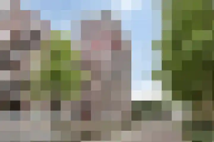 Hofplein 76 's-Hertogenbosch thumbnail 40