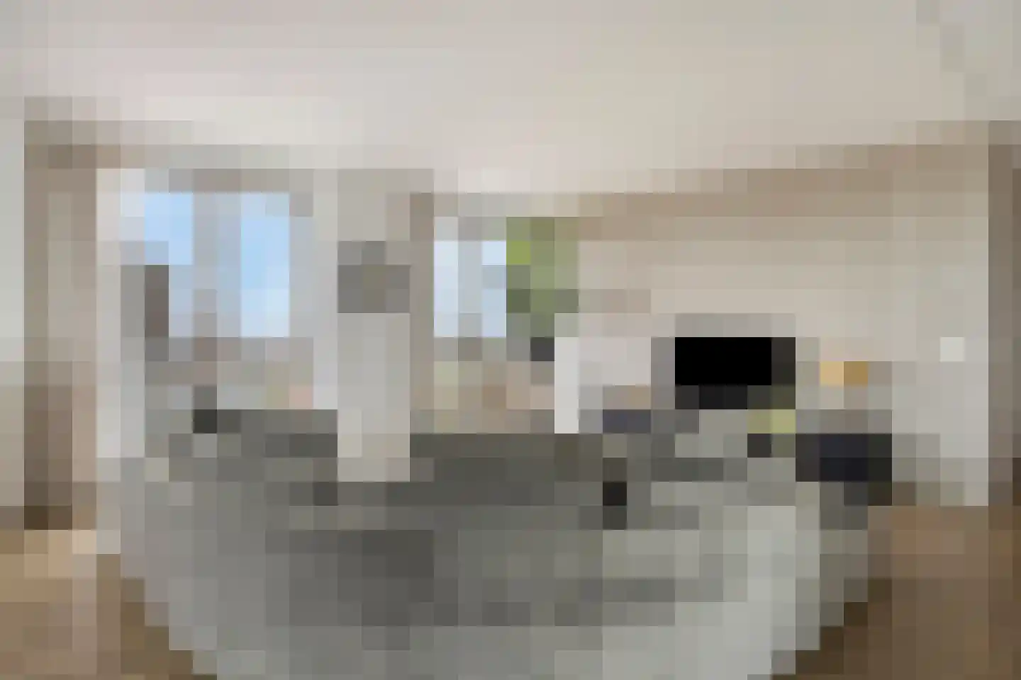 Hofplein 84 's-Hertogenbosch thumbnail 10