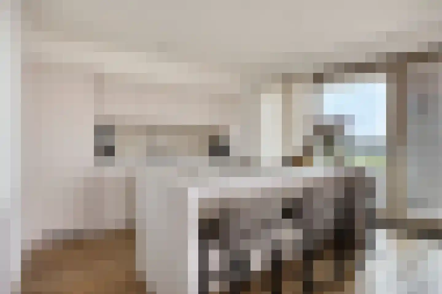 Hofplein 84 's-Hertogenbosch thumbnail 18
