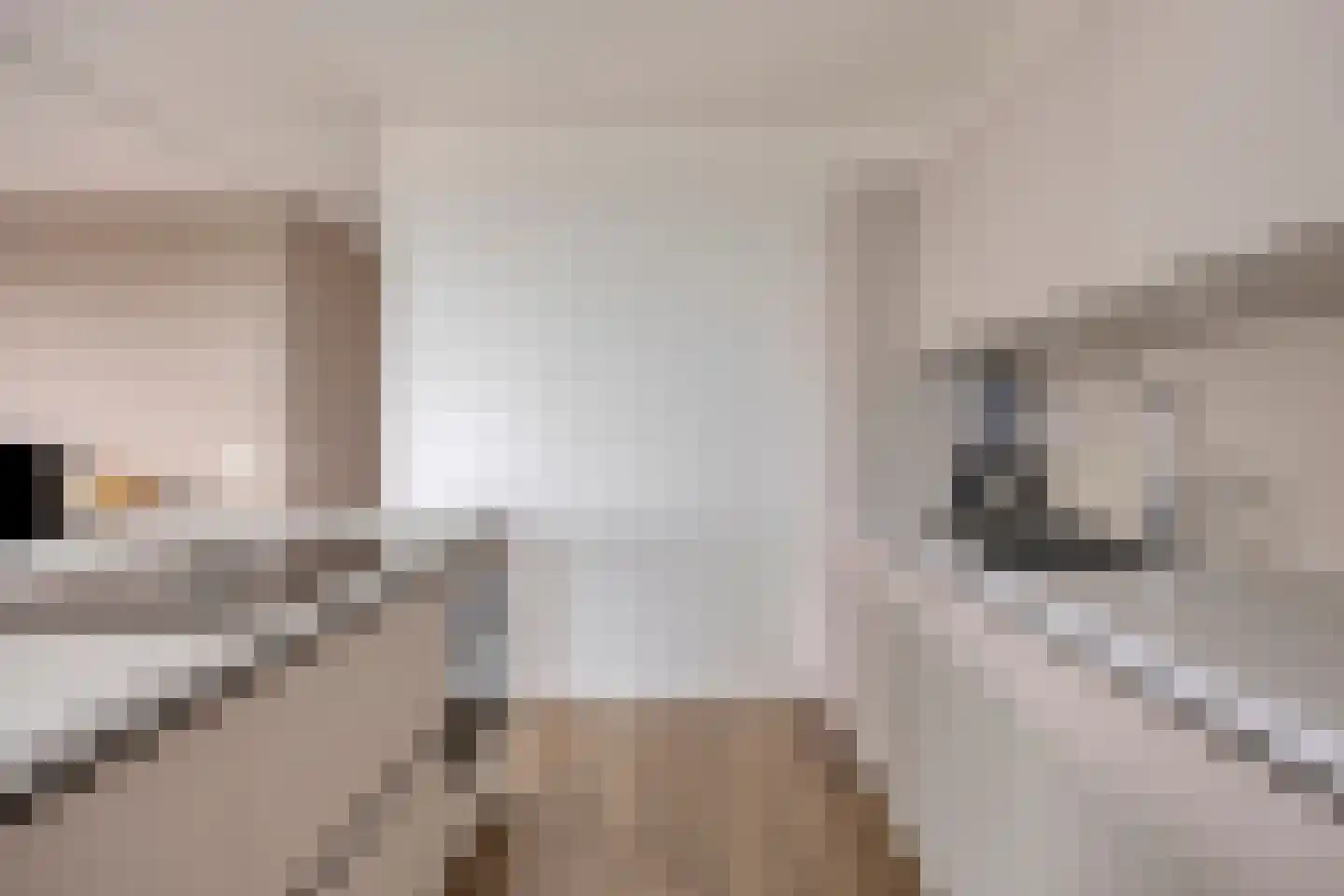 Hofplein 84 's-Hertogenbosch thumbnail 20