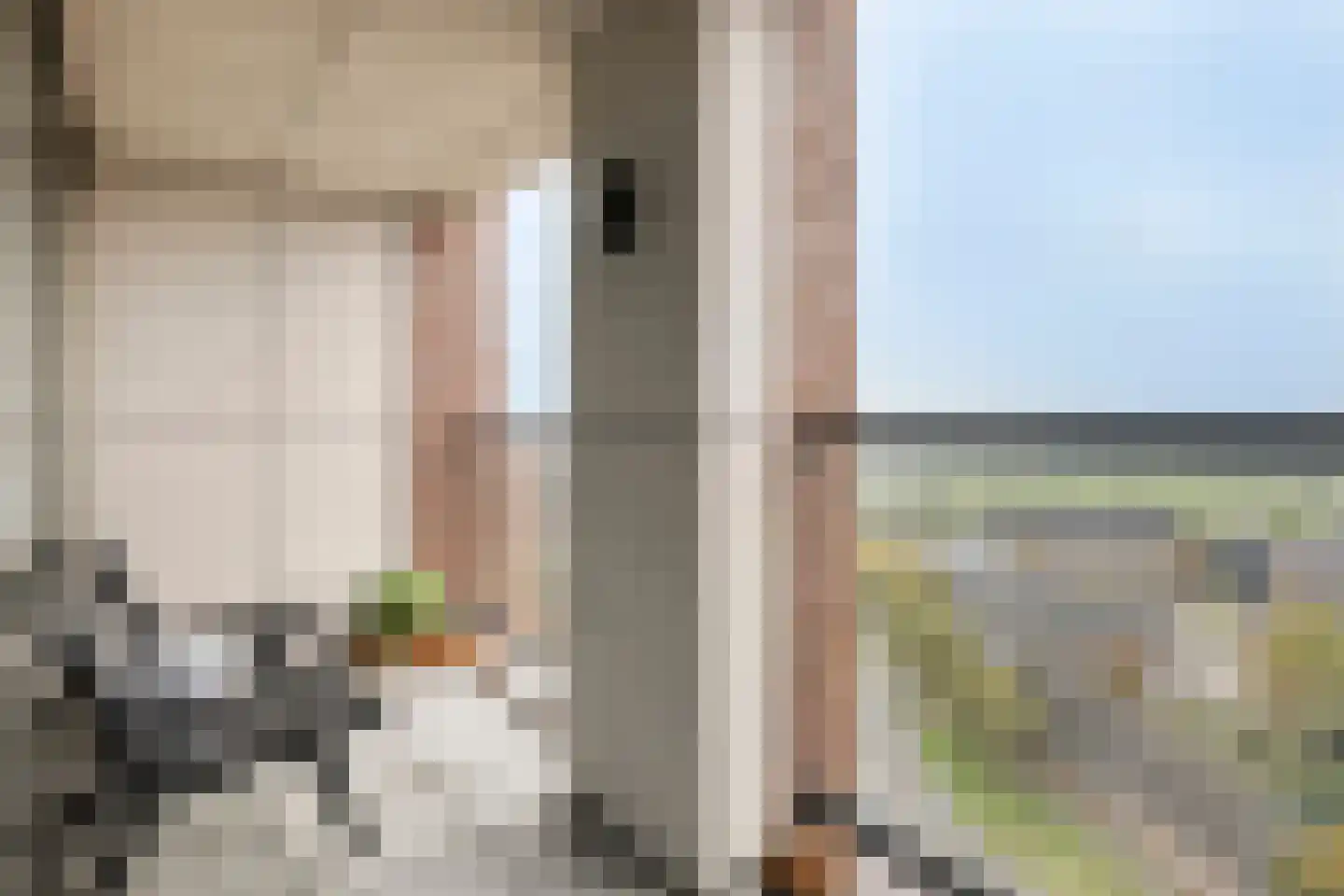 Hofplein 84 's-Hertogenbosch thumbnail 30