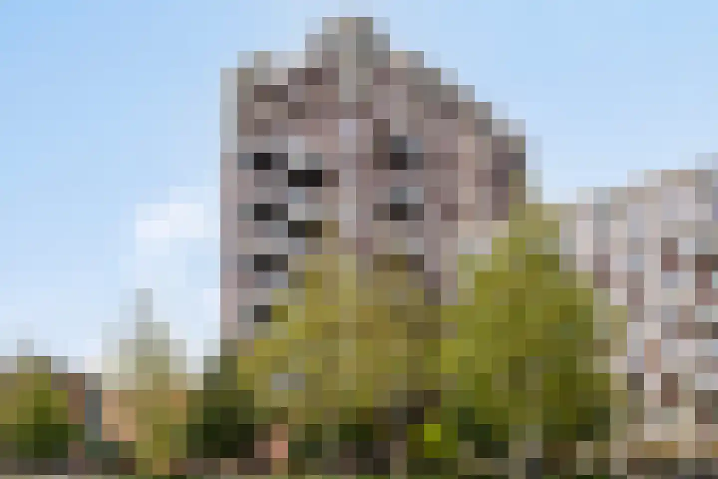 Hofplein 84 's-Hertogenbosch thumbnail 34