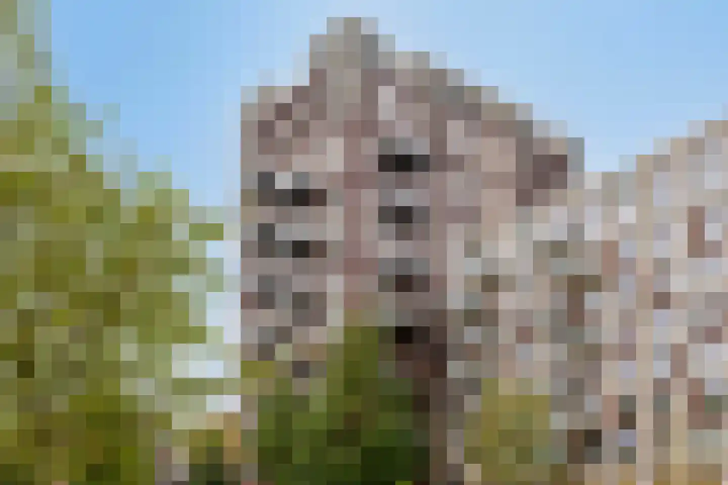 Hofplein 84 's-Hertogenbosch thumbnail 4