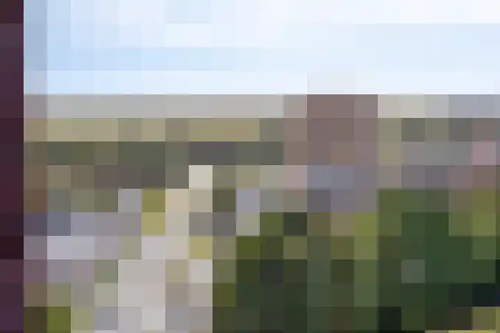 Hofplein 85 's-Hertogenbosch thumbnail 19