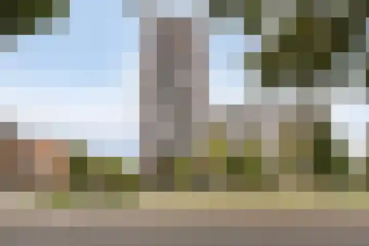 Hofplein 85 's-Hertogenbosch thumbnail 5