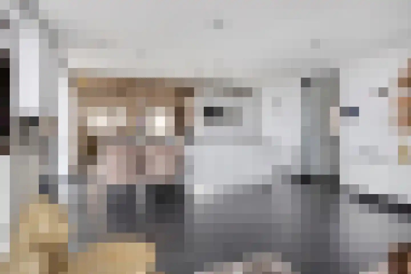 Hofplein 91 's-Hertogenbosch thumbnail 19