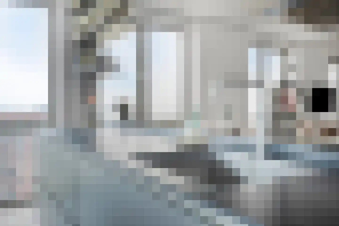 Hofplein 91 's-Hertogenbosch thumbnail 22