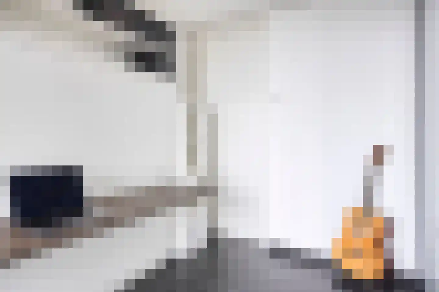 Hofplein 91 's-Hertogenbosch thumbnail 32