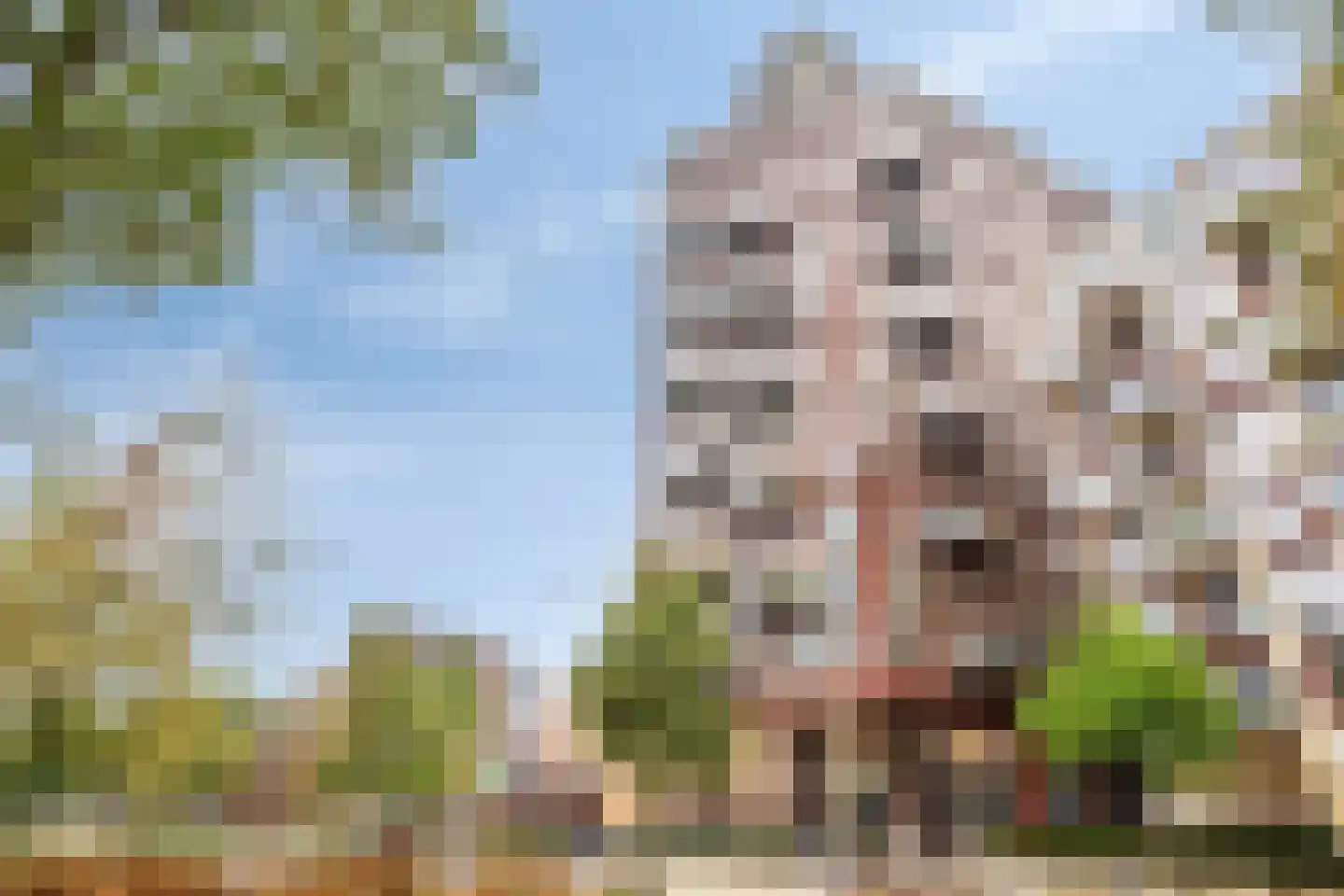 Hofplein 91 's-Hertogenbosch thumbnail 40