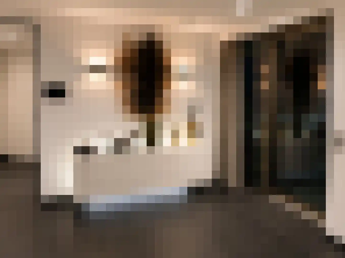 Hofplein 91 's-Hertogenbosch thumbnail 46