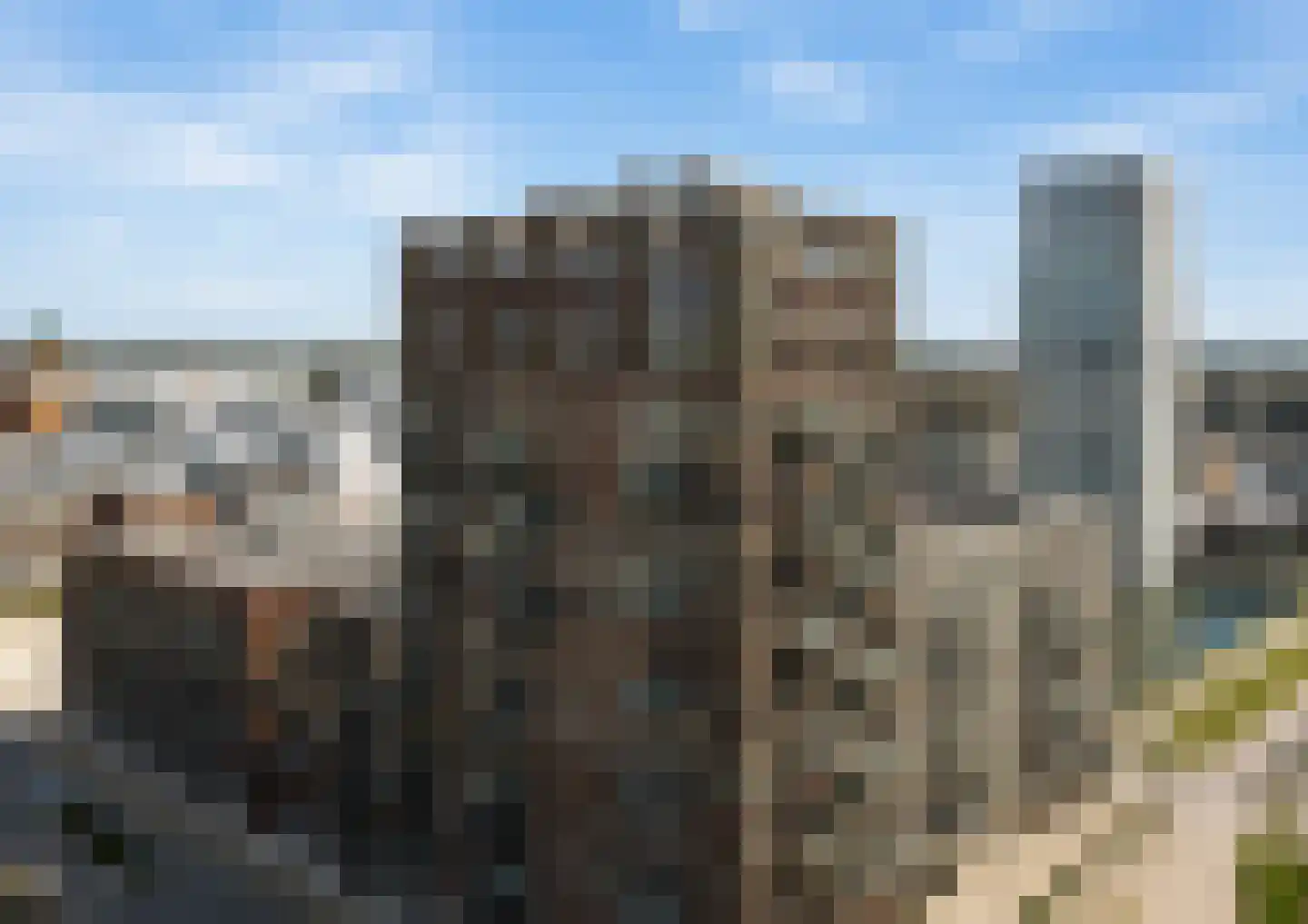 Hofplein 91 's-Hertogenbosch thumbnail 5