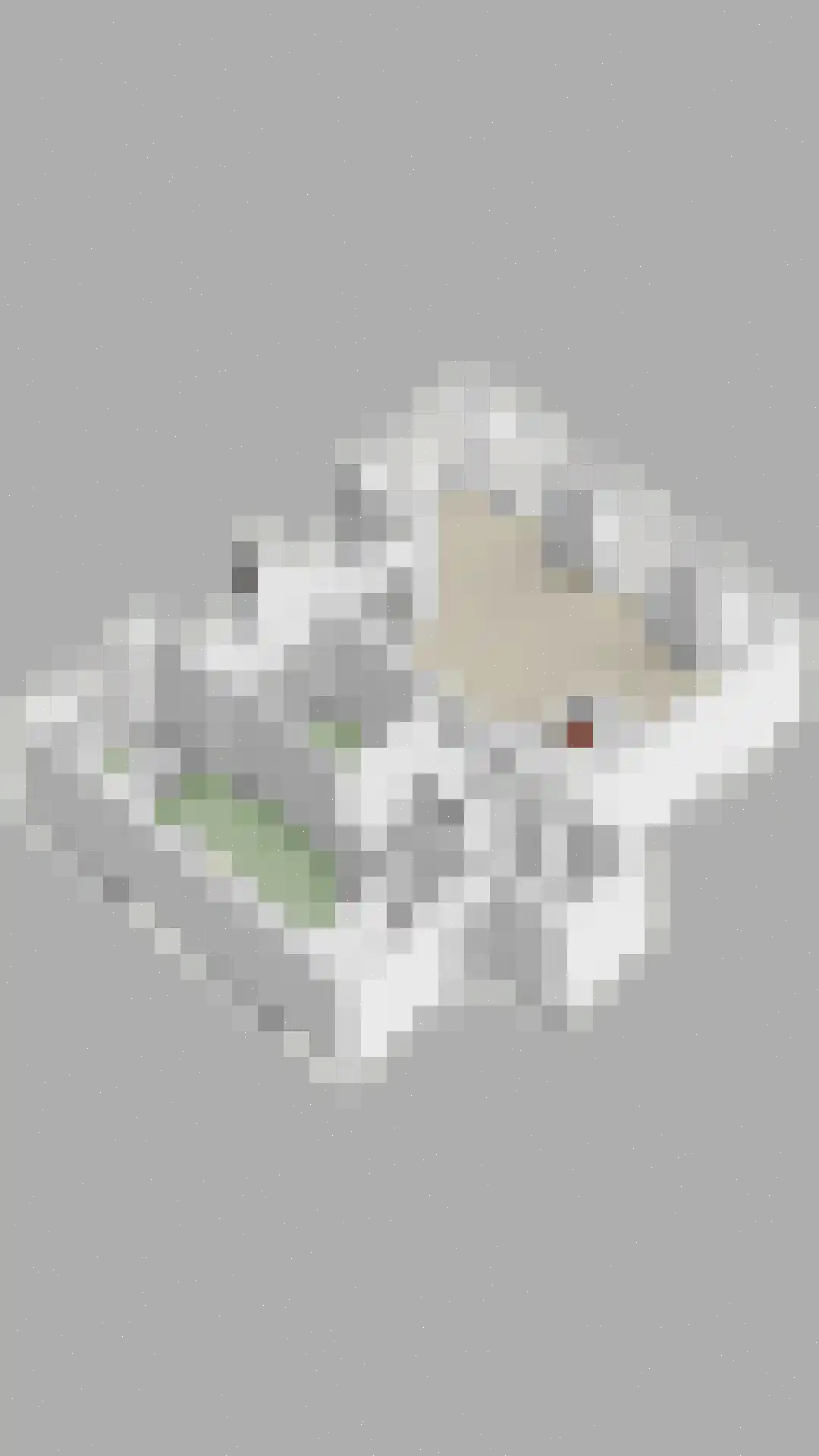 Hofplein 91 's-Hertogenbosch thumbnail 51