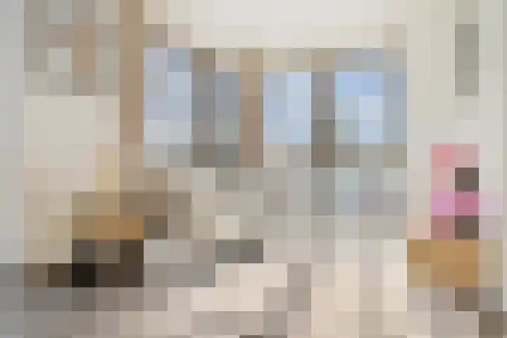 Hofplein 92 's-Hertogenbosch thumbnail 11