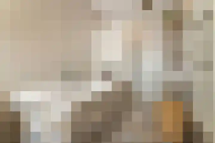 Hofplein 92 's-Hertogenbosch thumbnail 32