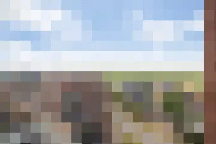 Hofplein 92 's-Hertogenbosch thumbnail 37