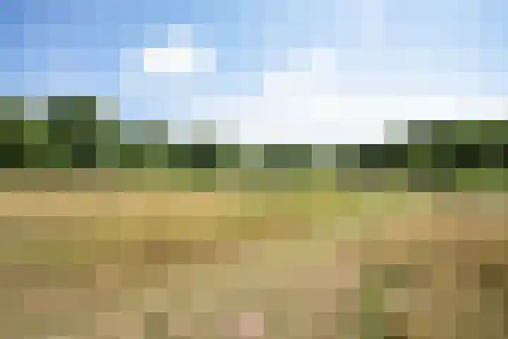 Hofplein 92 's-Hertogenbosch thumbnail 50