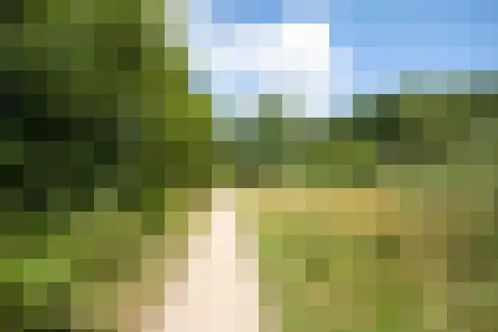 Hofplein 92 's-Hertogenbosch thumbnail 52