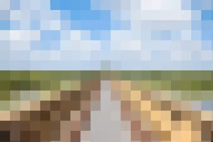 Hofplein 92 's-Hertogenbosch thumbnail 54