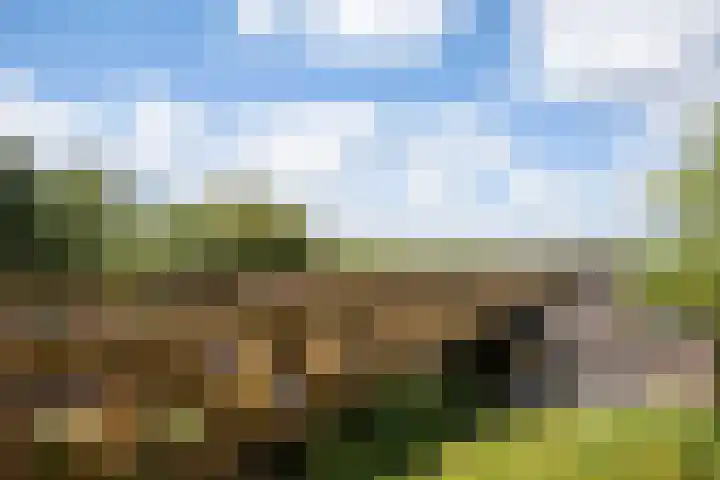 Hofplein 92 's-Hertogenbosch thumbnail 57
