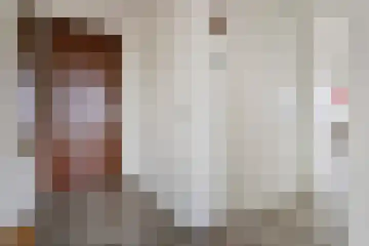 Hofplein 92 's-Hertogenbosch thumbnail 8
