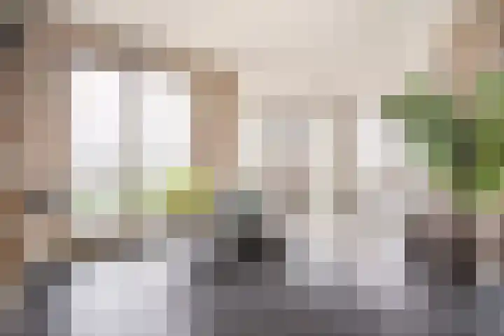 Hofplein 94 's-Hertogenbosch thumbnail 10