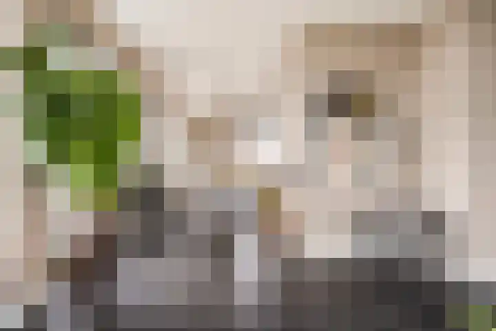 Hofplein 94 's-Hertogenbosch thumbnail 12
