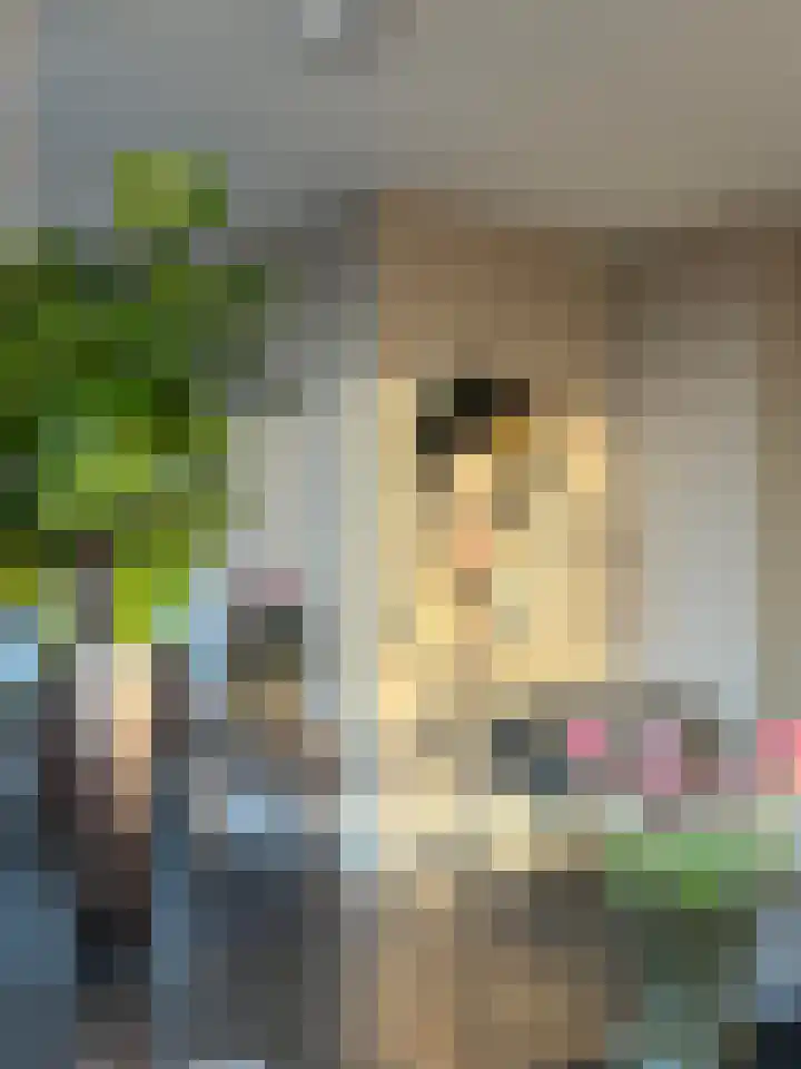Hofplein 94 's-Hertogenbosch thumbnail 13