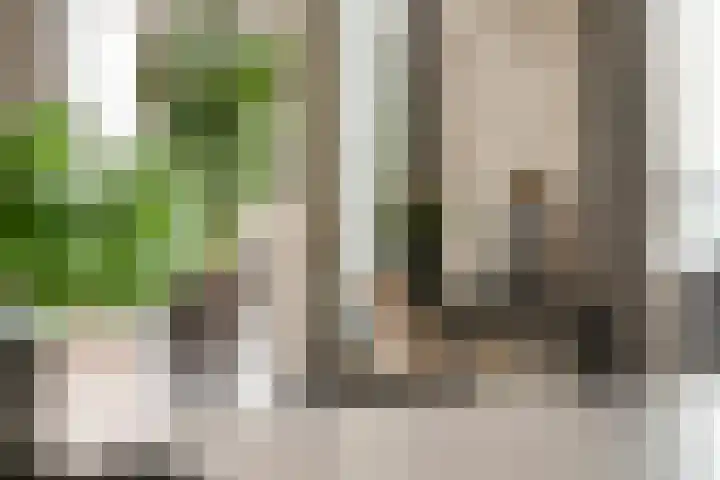 Hofplein 94 's-Hertogenbosch thumbnail 14