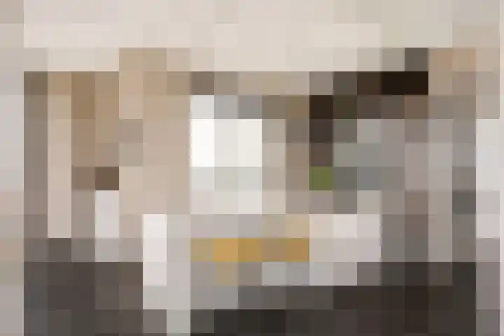 Hofplein 94 's-Hertogenbosch thumbnail 24