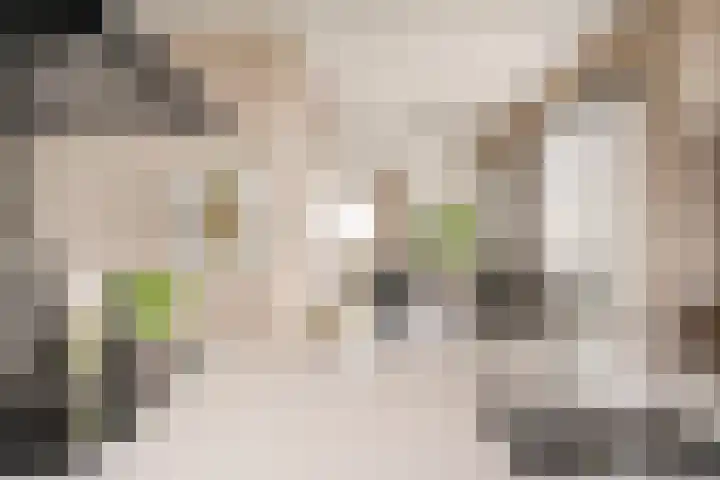 Hofplein 94 's-Hertogenbosch thumbnail 27