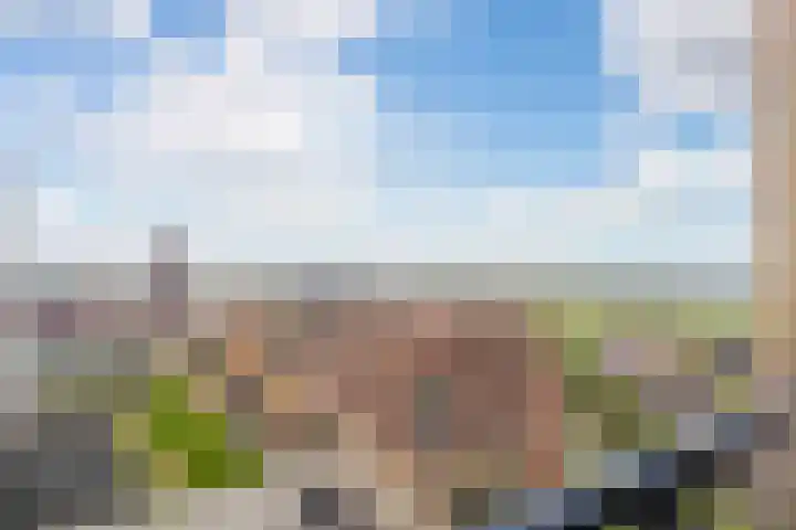 Hofplein 94 's-Hertogenbosch thumbnail 28