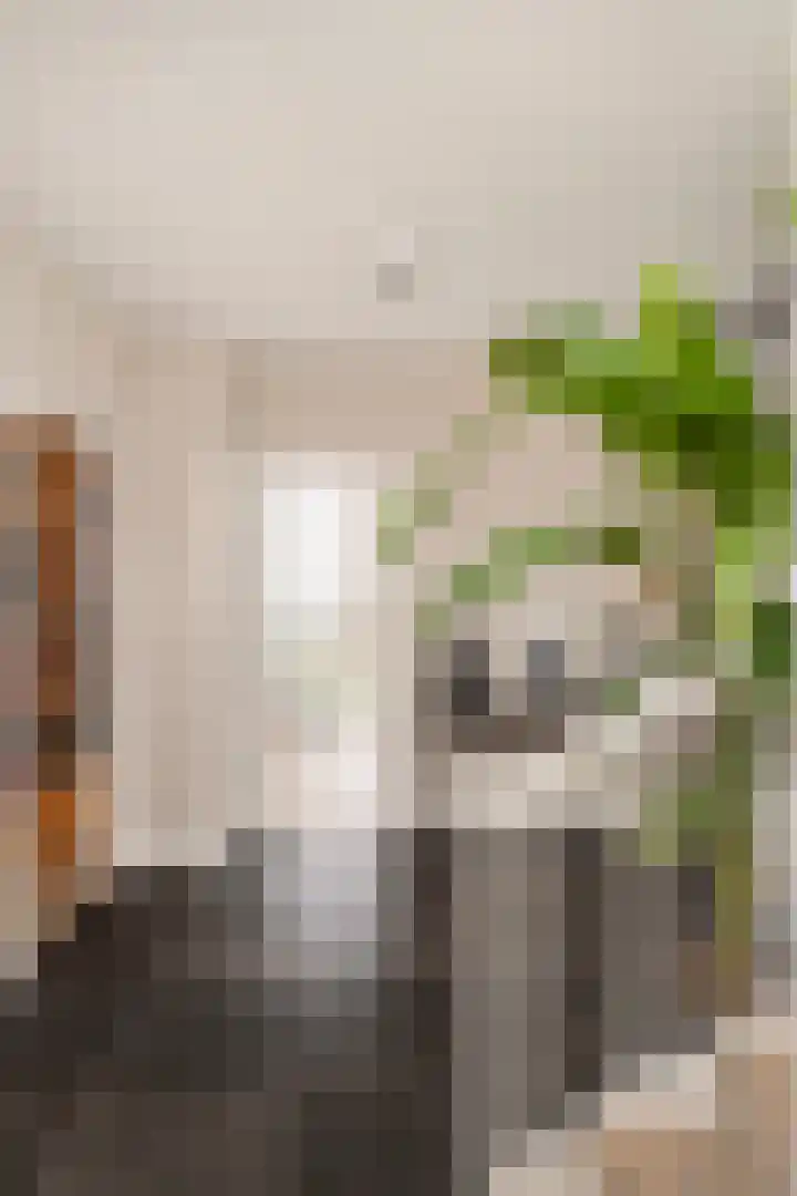 Hofplein 94 's-Hertogenbosch thumbnail 29