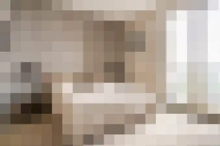 Hofplein 94 's-Hertogenbosch thumbnail 30