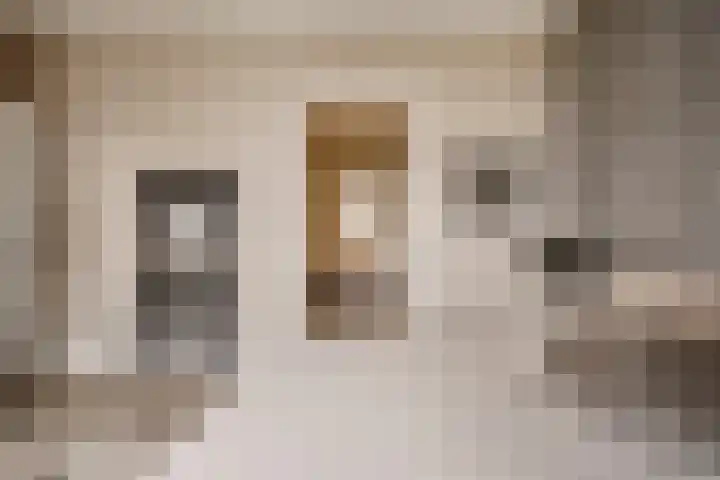 Hofplein 94 's-Hertogenbosch thumbnail 32