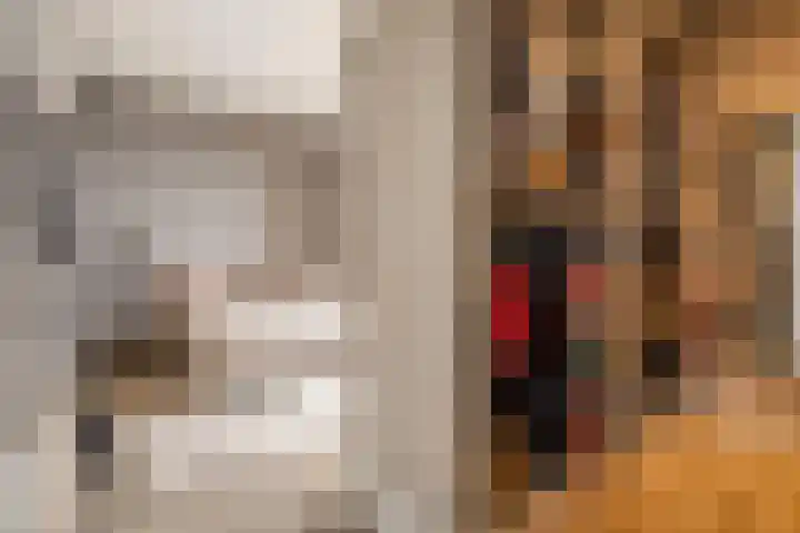 Hofplein 94 's-Hertogenbosch thumbnail 34