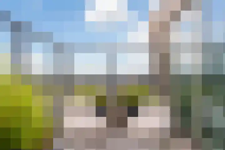 Hofplein 94 's-Hertogenbosch thumbnail 47