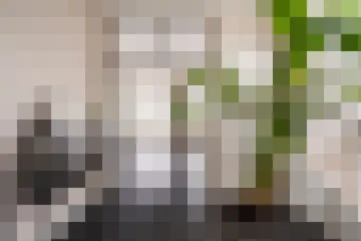 Hofplein 94 's-Hertogenbosch thumbnail 5