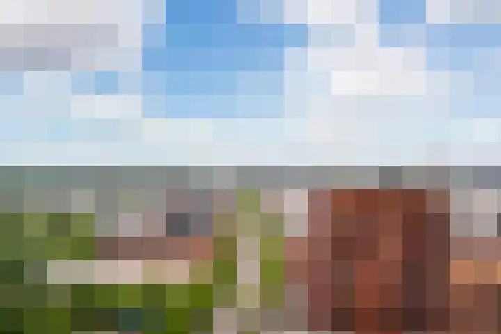 Hofplein 94 's-Hertogenbosch thumbnail 57